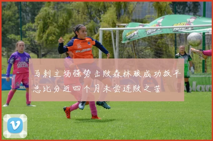 马刺主场强势击败森林狼成功扳平总比分近四个月未尝连败之苦